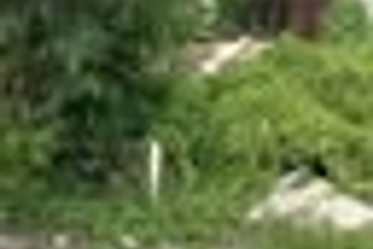 472885098_122191939874120278_1654290061732830912_n.jpg
