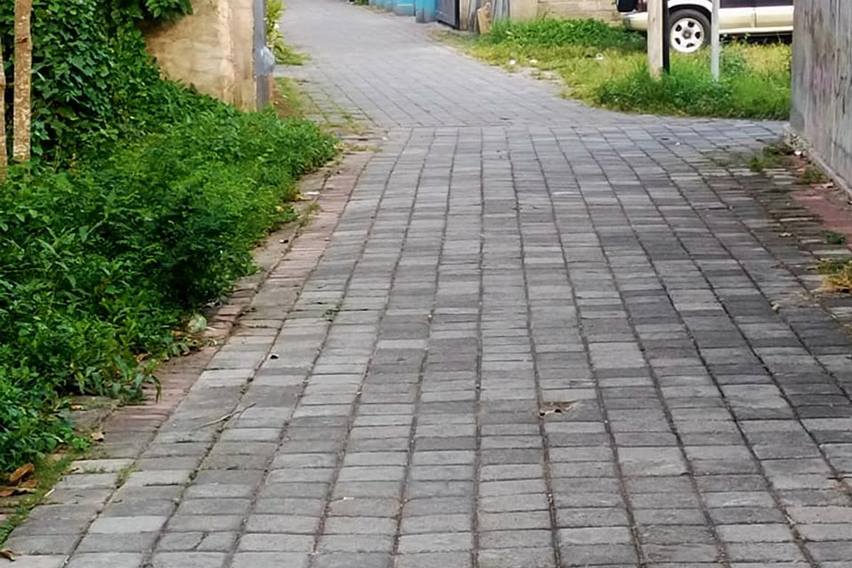 470187619_892347819715106_275630906559523869_n.jpg