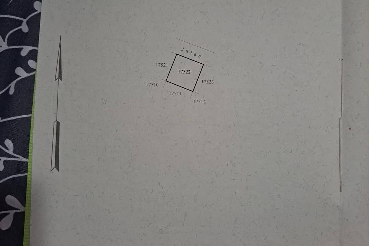 475106581_122235219464038541_1480490418054087858_n.jpg