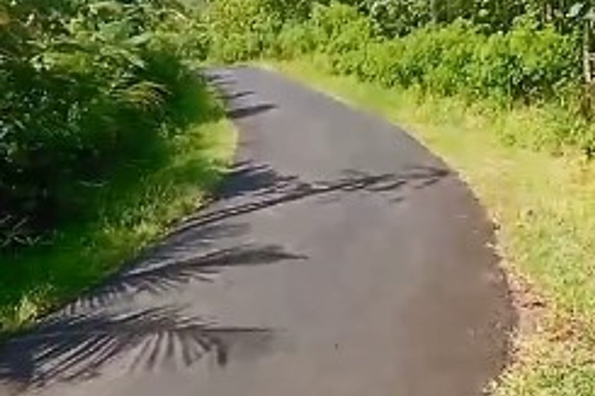 475262466_599120046252970_8709950579132528102_n.jpg