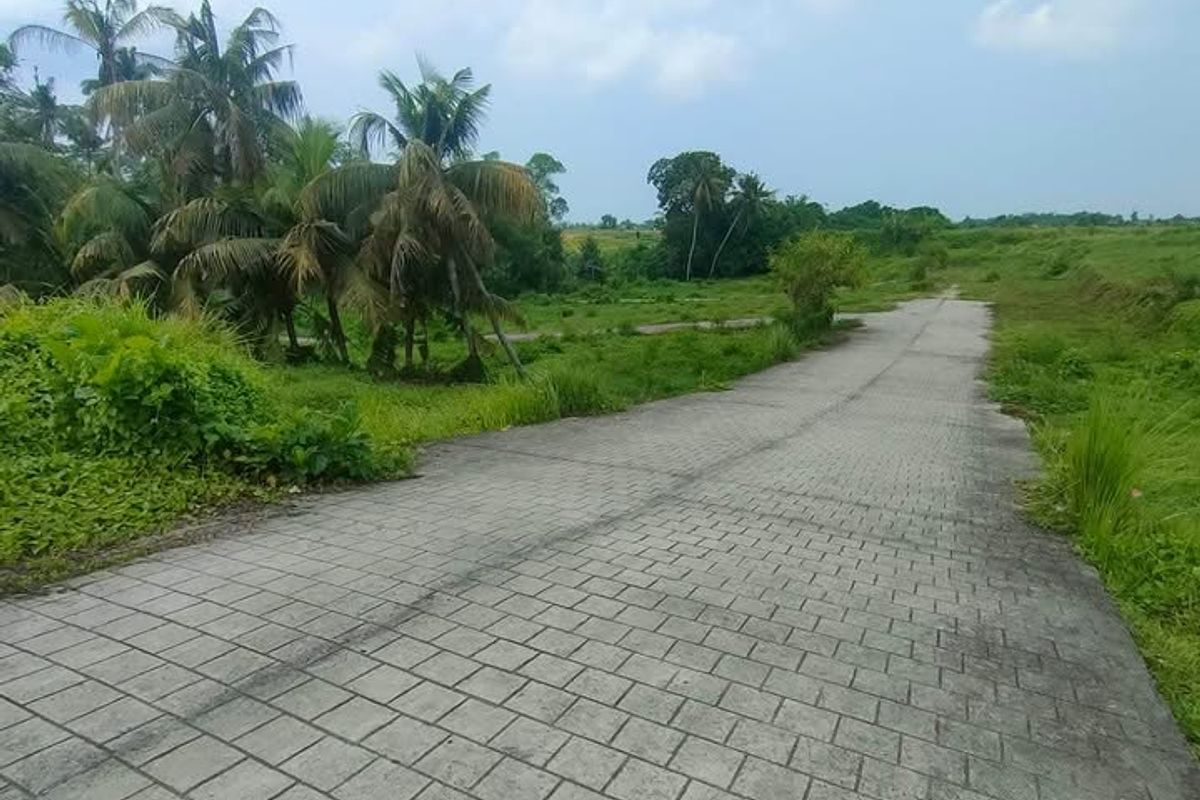 475184199_1346132863049919_8486163370441655568_n.jpg