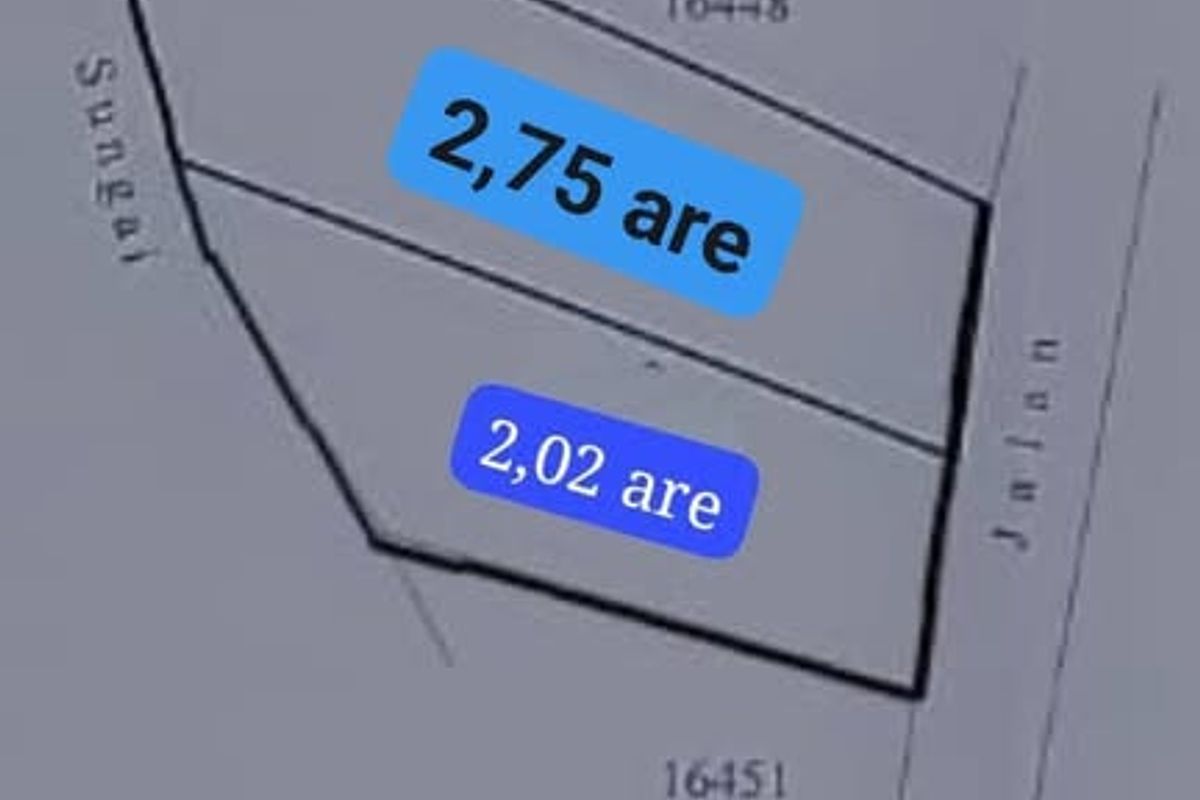 471254845_1976513776093580_5766643628800719107_n.jpg